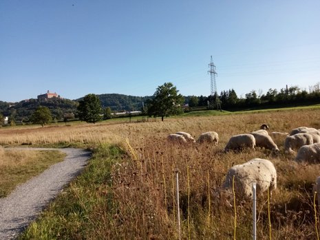 Idyllische Heimat, 25.09.2021, Lisa Schott