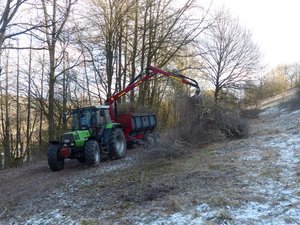 Traktor beseitigt Gehölzschnitt