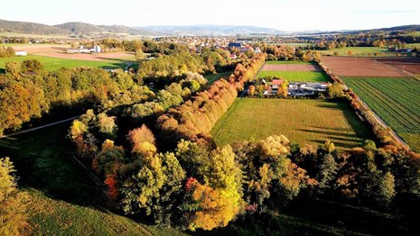 Drohnenaufnahme der Baille-Maille-Allee – im Hintergrund die Gemeinde Himmelkron, 17.10.2019, Hirschmann Lisa