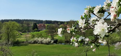 Frühlingserwachen am roten Main bei Unterobsang, 23.04.2020, Daniela Knake