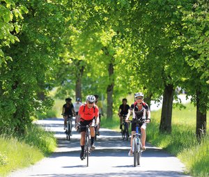 Radfahrer