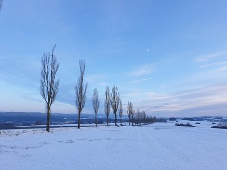 Schneelandschaft bei Hegnabrunn, 10.12.2021, Désirée Hampel