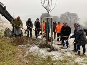 Personengruppe bei Baumpflanzung