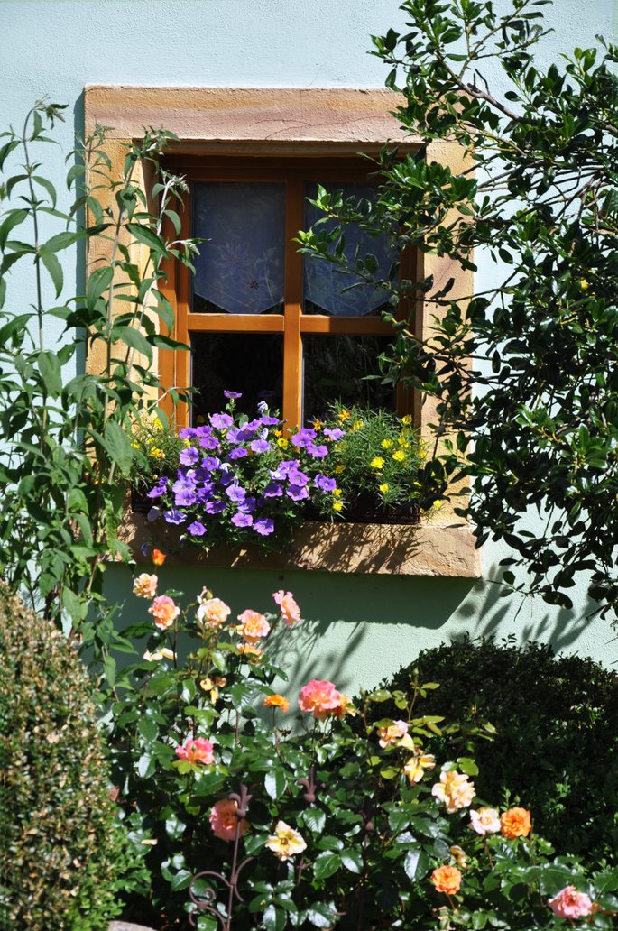 Grünes Anwesen Reichenbach - Copyright: Christine Bender Grünes Anwesen Reichenbach - Copyright: Christine Bender