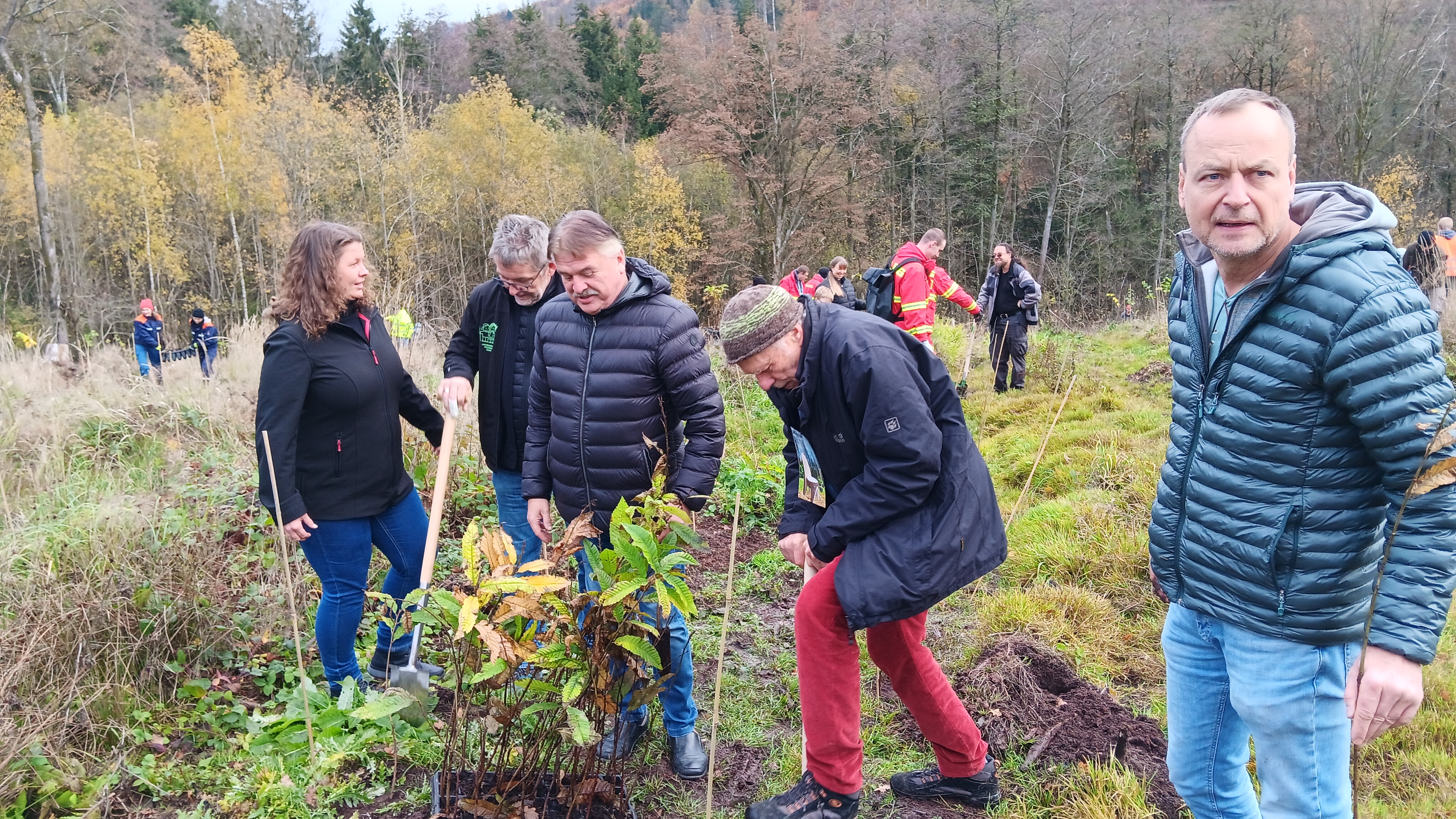 Personengruppe bei Baumpflanzung