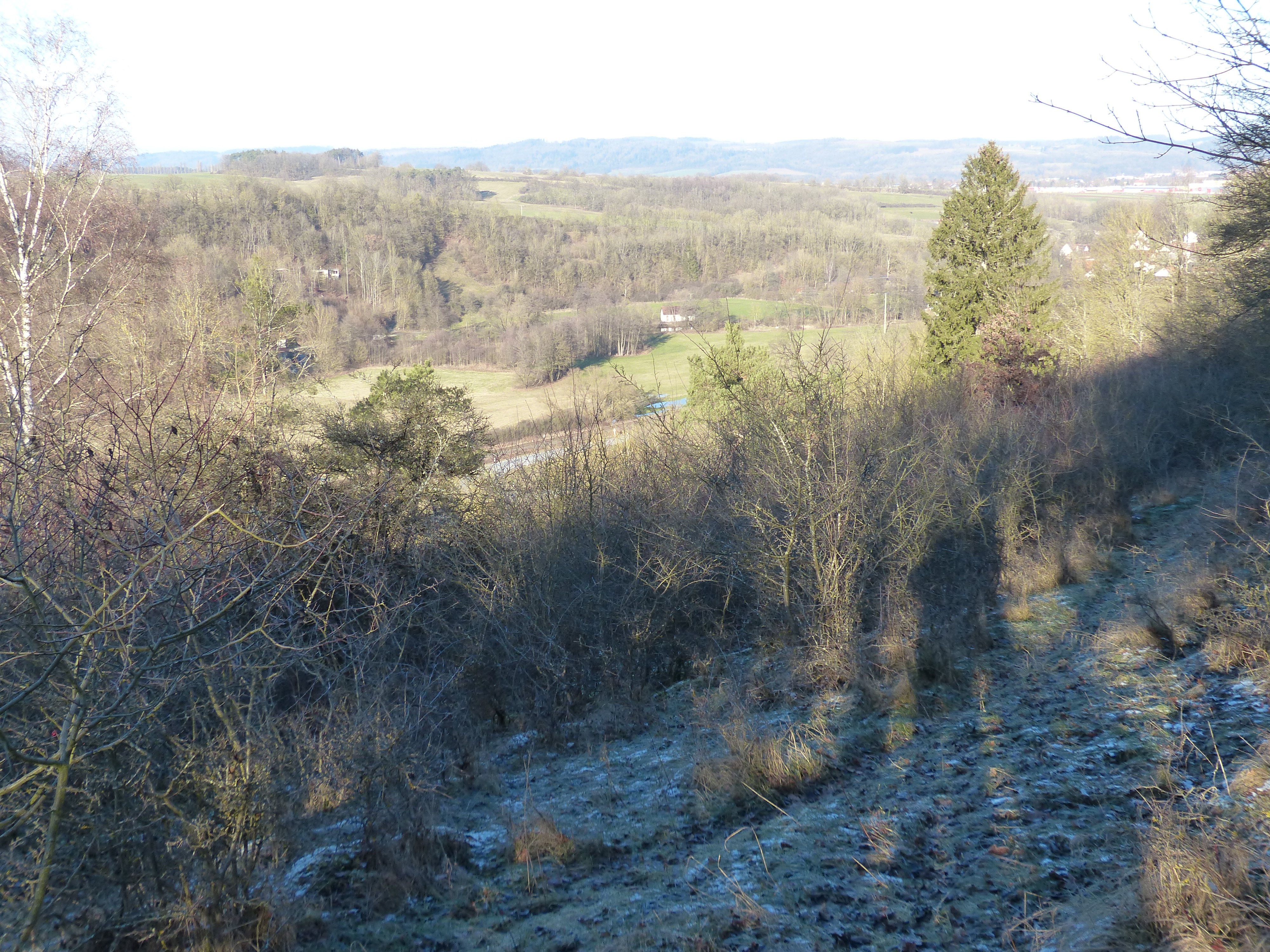 Landschaft vor Pflegemaßnahmen