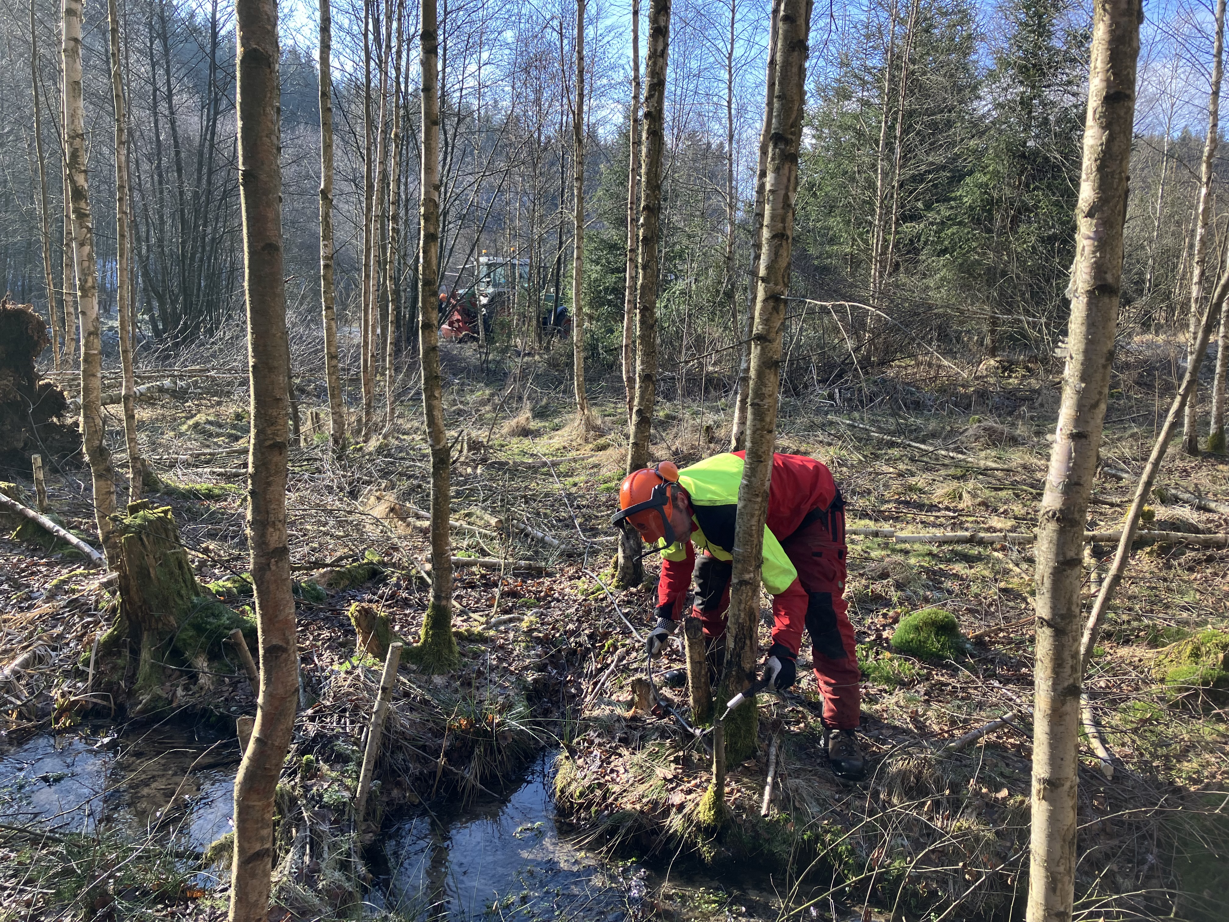 Naturpark-Ranger und Landwirt beim Herausnehmen von Gehölz und Wurzelstöcken